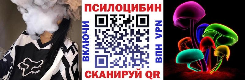 Купить закладки  Щёкино  Галлюциногенные грибы Magic Shrooms 